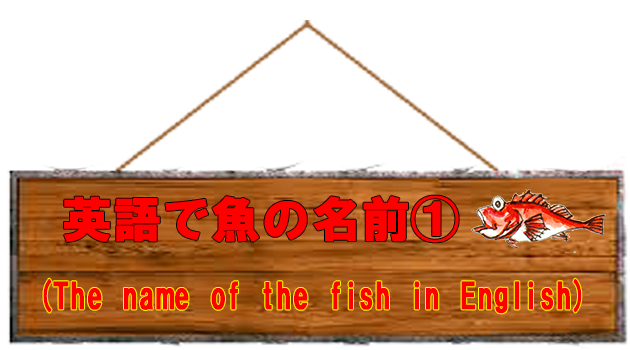 英語で魚の名前①の画像